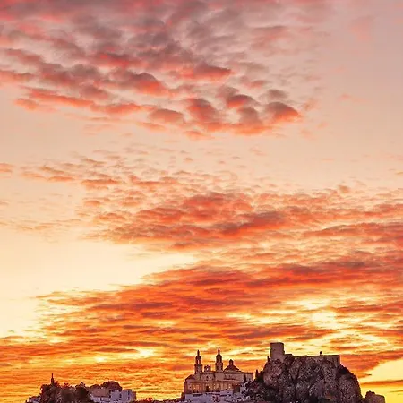 דירה Aroma אולברה